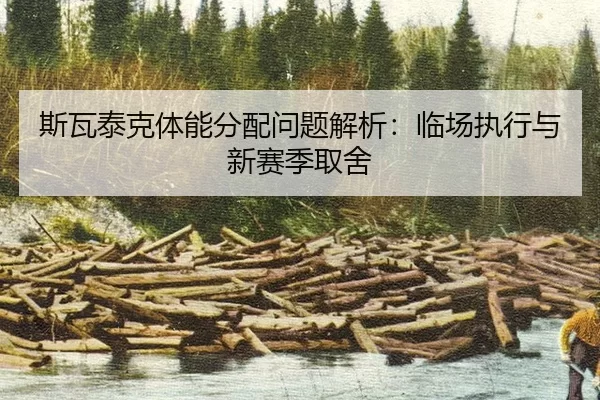 si-wa-tai-ke-ti-neng-fen-pei-wen-ti-jie-xi-lin-chang-zhi-xing-yu-xin-sai-ji-qu-she-2-967.jpg